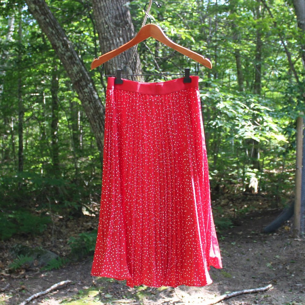 ✨NWOT✨ KATE KASIN high-waisted pleated midi skirt